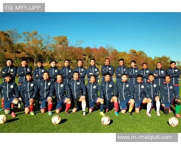 实时新闻南京足球队耐力训练的挑战与突破探索之路